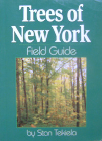 Trees of New York